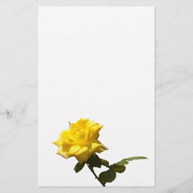 Papelería Rosa amarilla (Anverso)