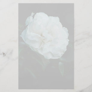 Papelería Rosa blanca