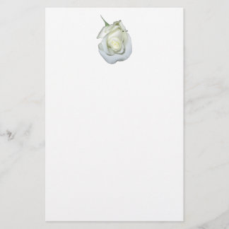 Papelería Rosa blanca #1