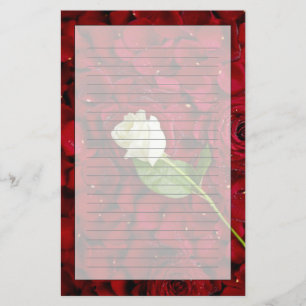 Papelería Rosa blanco en los pétalos rojos