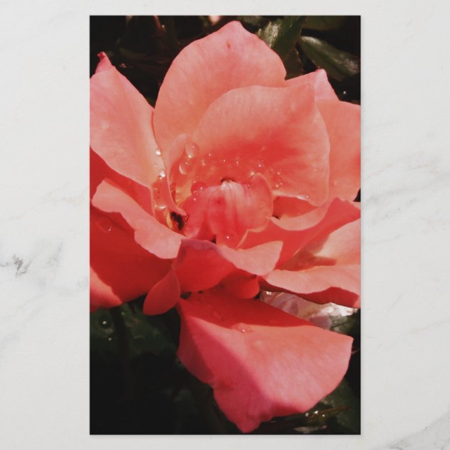 Papelería rosa de melocotón y gotas de lavado (Anverso)