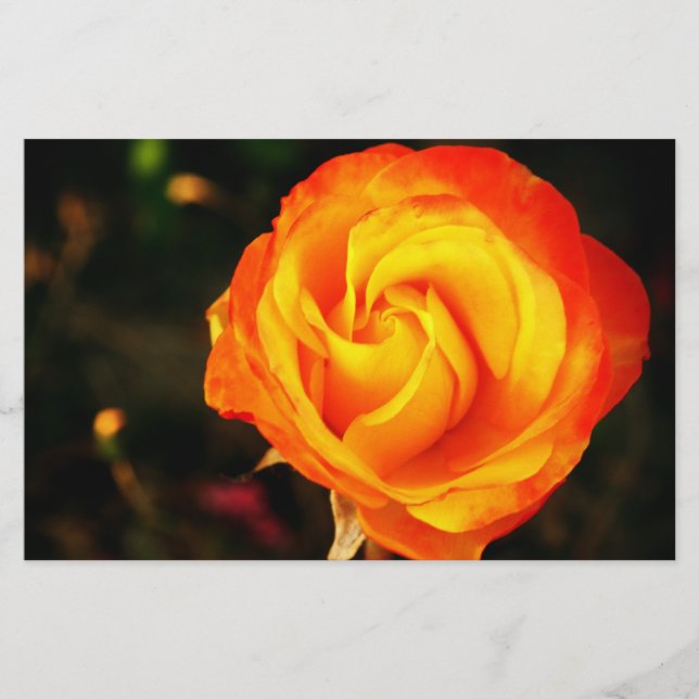 Papelería rosa naranja (Anverso)