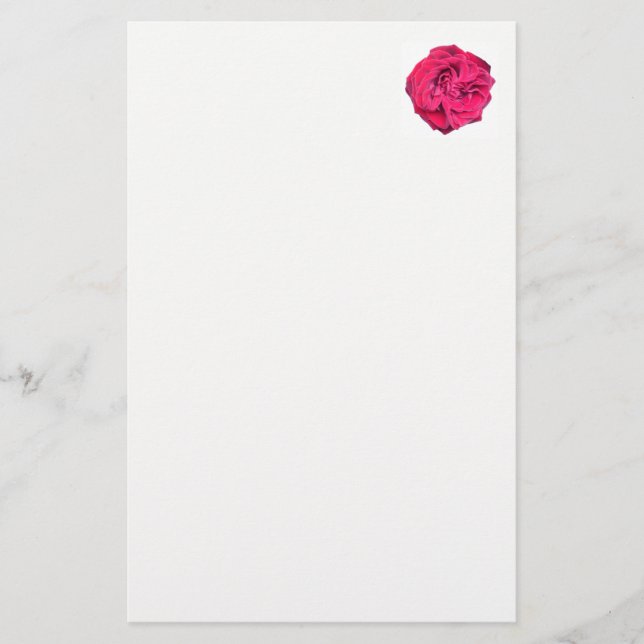 Papelería Rosa Roja (Anverso)