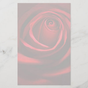 Papelería Rosa rojo inmóvil