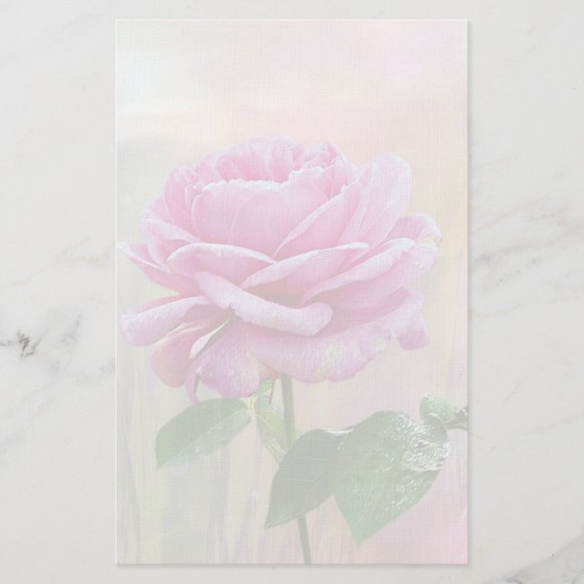 Papelería Rosa Rosa (Anverso)