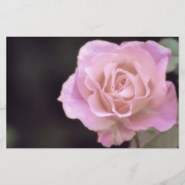 Papelería Rosa rosa magnífico