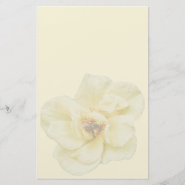 Papelería Rosa y abeja (Anverso)