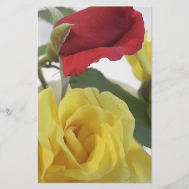 Papelería Rosas amarillas y rojas (Anverso)