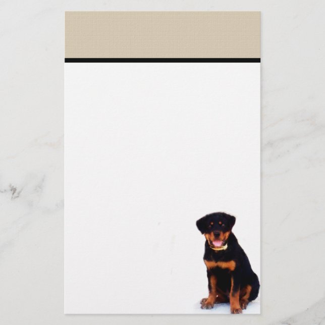 Papelería Rottweiler inmóvil (Anverso)