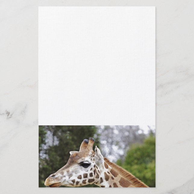 Papelería Safari Africa Mod Moda  Destiny Giraffe (Anverso)