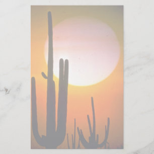 Papelería Saguaro cactus, desierto de Sonoran, EE.UU.Desiert