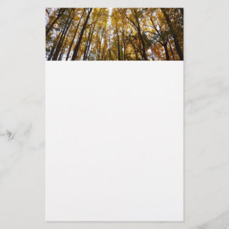 Papelería Saltos de otoño en la naturaleza matutina de Maryl