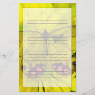 Papelería Sammamish Washington Fotografía de Mariposa en 8