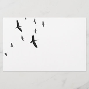 Papelería Sandhill Cranes en vuelo