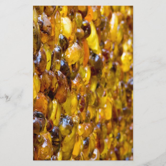 Papelería Santo Tomás 2 (Anverso)