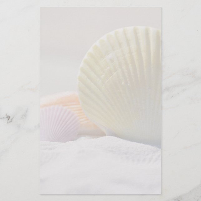 Papelería Seashells en la arena blanca (Anverso)