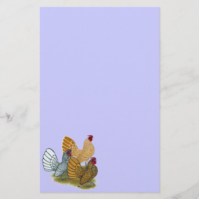 Papelería Sebright Rooster Assortment (Anverso)