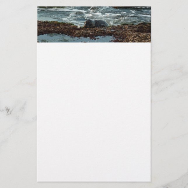 Papelería Sello de puerto de luz solar I en San Diego (Anverso)