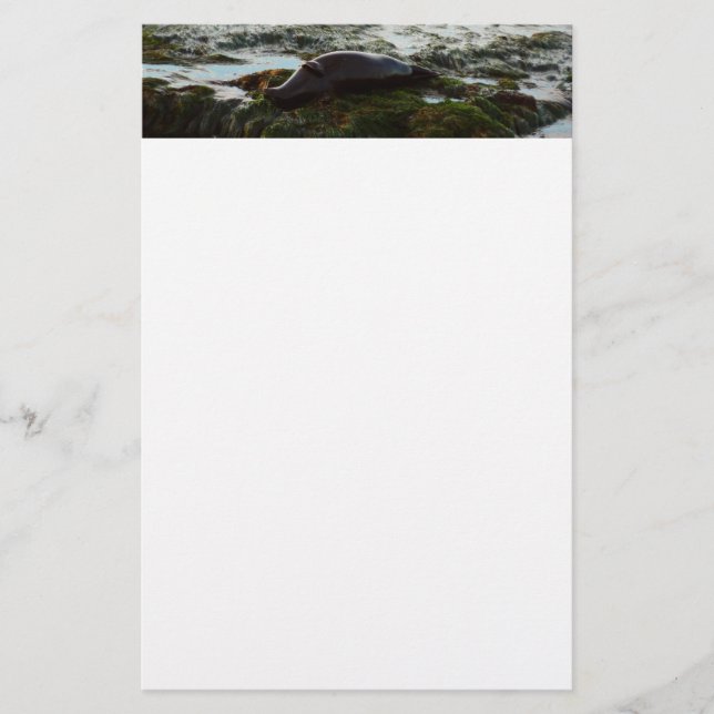 Papelería Sello de puerto de luz solar II en San Diego (Anverso)