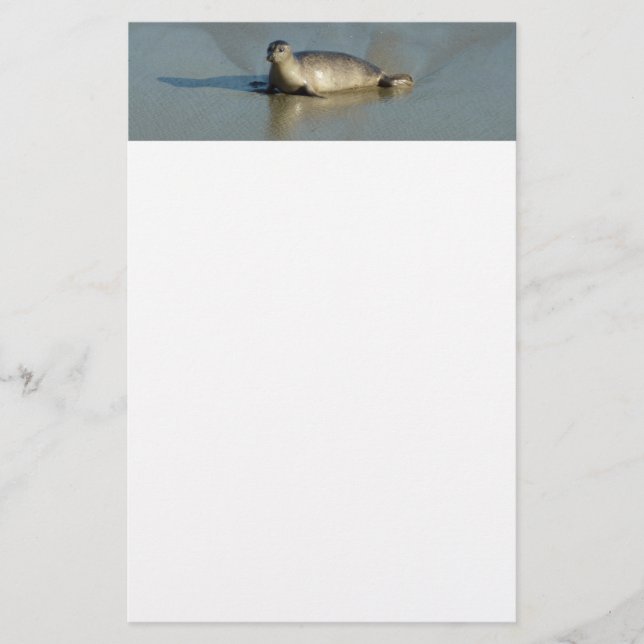 Papelería Sello de puerto en La Jolla California (Anverso)