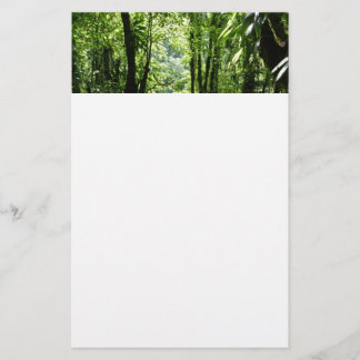 Papelería Selva tropical II dominicana de lluvia verde tropi