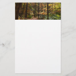 Papelería Sendero Sunlit Fall en el Parque Estatal Laurel Hi