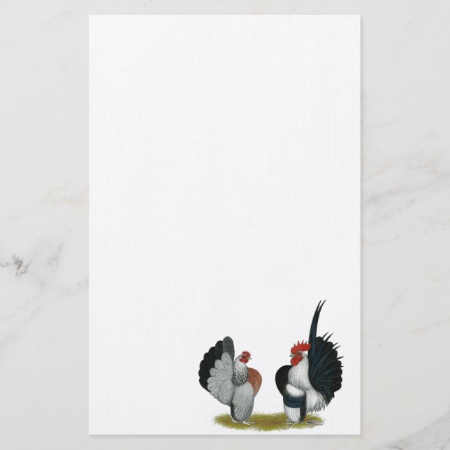 Papelería Serama Bantams (Anverso)