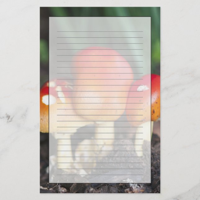 Papelería Setas familiares de Amanita (Anverso)