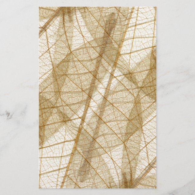 Papelería Sheer Cream Beige Lace Leaves (Anverso)