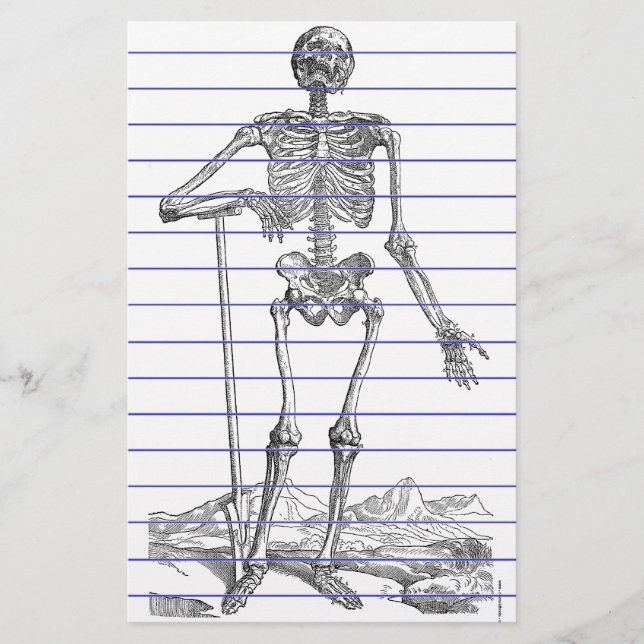 Papelería Skeleton (Anverso)