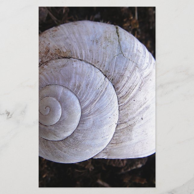 Papelería Snowshell de Guay (Anverso)