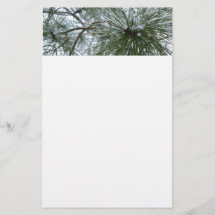 Papelería Snowy Pine Needles Winter Nature Photography