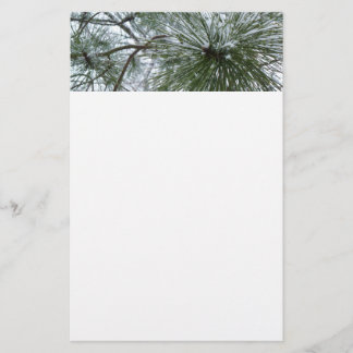 Papelería Snowy Pine Needles Winter Nature Photography