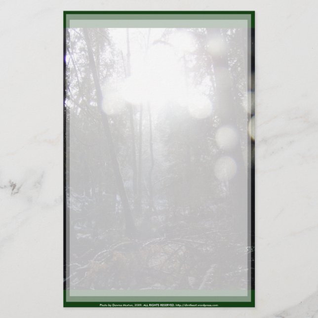 Papelería Sol forestal raya en la nieve #64 (Anverso)