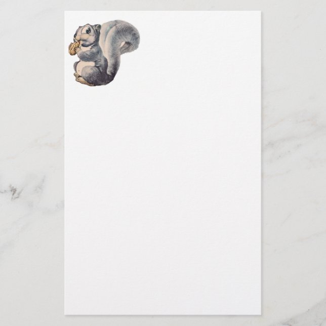 Papelería Soy ardilla Nuts inmóvil (Anverso)