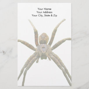 Papelería Spider