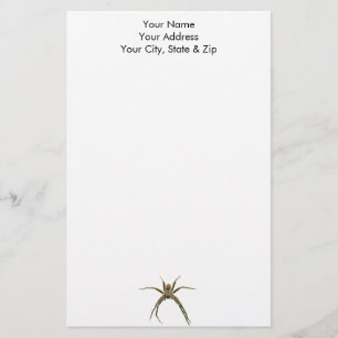 Papelería Spider