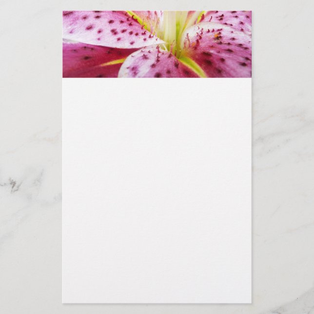 Papelería Stargazer Lily Bright Magenta Floral (Anverso)