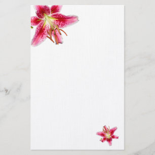 Papelería Stargazer Lily decoró Stationery en blanco