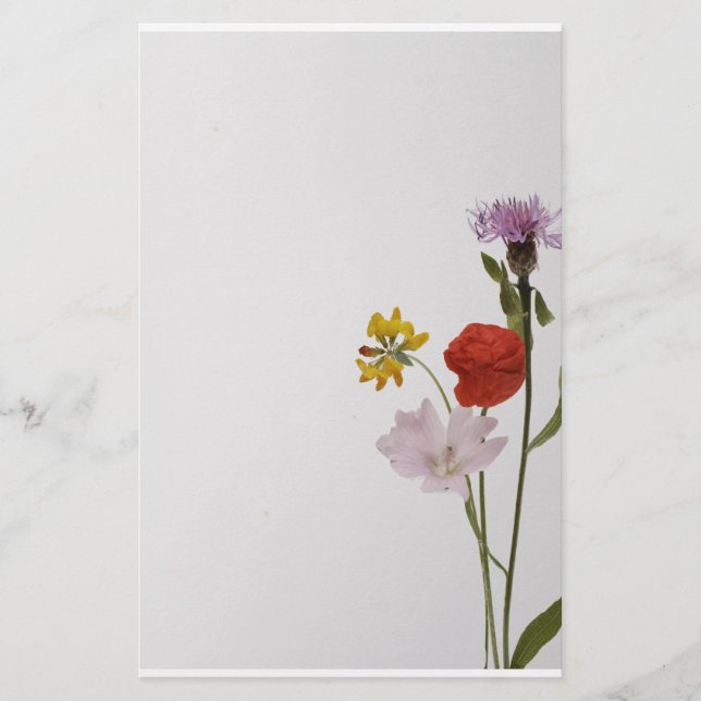 Papelería Stationery colorful flowers (Anverso)