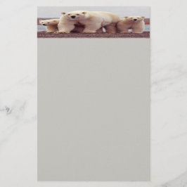 Papelería Stationery de oso polar