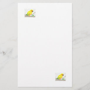 Papelería Stationery de Sun Conure