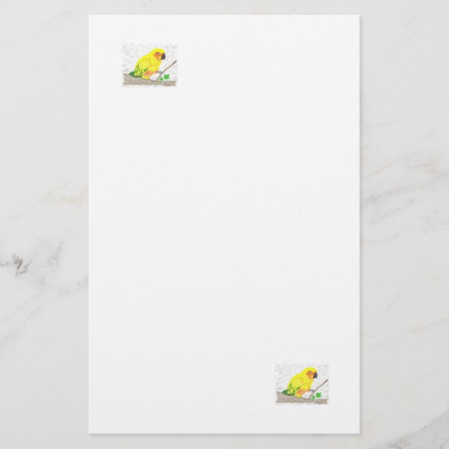 Papelería Stationery de Sun Conure (Anverso)