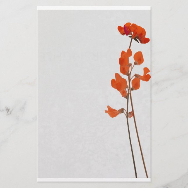 Papelería Stationery hablas flowers (Anverso)