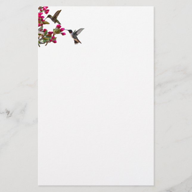 Papelería Stationery hummingbirds (Anverso)