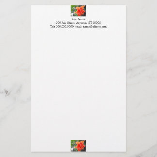 Papelería Stationery naranja