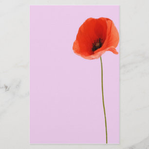 Papelería Stationery poppy
