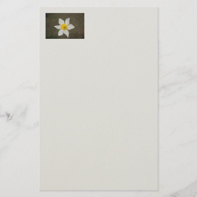 Papelería Stationery Springtime (Anverso)