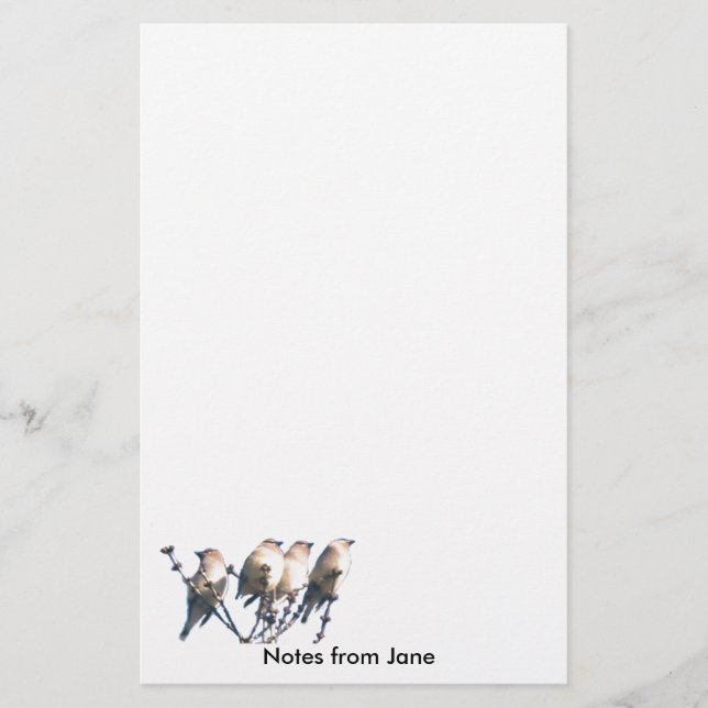 Papelería Stationery - WaxWing - Notas de ... (Anverso)