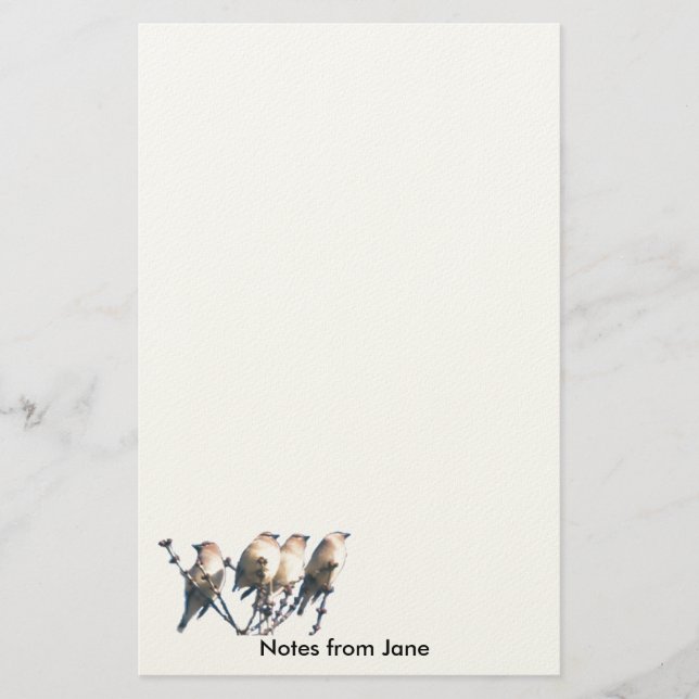 Papelería Stationery - WaxWing - Notas de ... (Anverso)